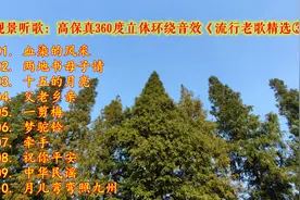 观景听歌：高保真360度立体环绕音效《流行老歌精选③》视频封面