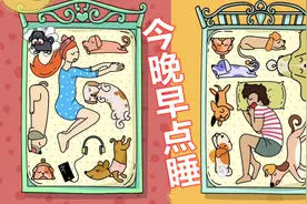 今晚早点睡：塔米和狗狗朋友找位置睡觉，差点就打起来了！视频封面