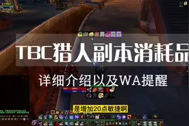 魔兽世界TBC猎人副本消耗品详细介绍以及使用提醒WA字符串视频封面