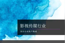 传媒影视行业龙头公司：资产构成的历史演变视频封面