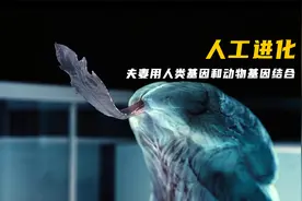 夫妻用人类基因和动物基因结合，造出怪物，最后无法控制视频封面