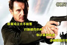 顶级退休特工的逆鳞，触之既死，燃爆电影《飓风营救》视频封面