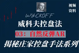 庄家控盘手法：通过自然反弹来确认主力对倒筹制造的恐慌性抛售视频封面