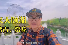 泰安天颐湖花海，踏青赏花亲子游玩，这个春天有地方去了视频封面