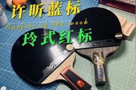 【蘑菇乒乓】同时制作两套顶级乒乓球拍是什么体验？视频封面