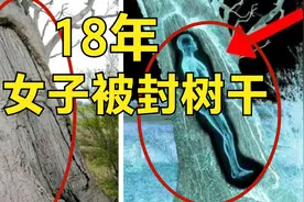女子被封在树干18年！至今无解！墙上涂鸦是唯一线索！视频封面