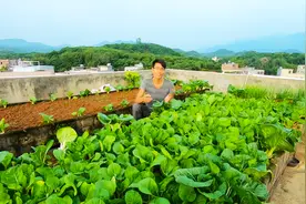 农村小伙在楼顶种菜，做好这几点防漏措施，10年老房都不会漏水视频封面