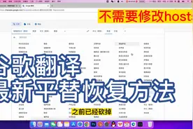 最新平替恢复谷歌翻译方法，长期使用！#谷歌翻译恢复视频封面