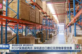 RCEP实施超两月 深圳进出口数亿元货物享受优惠视频封面
