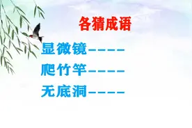 “显微镜；爬竹竿；无底洞”猜成语！此题一出，难倒一片，你会吗视频封面