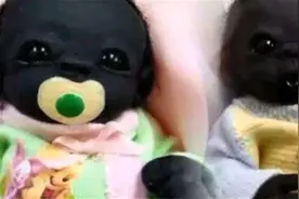 世界上最黑的婴儿到底有多黑，为什么会那么黑视频封面