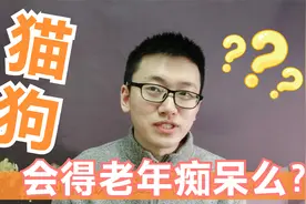 原来动物也会得老年痴呆！症状是怎样的？听浙大医学博士说说视频封面