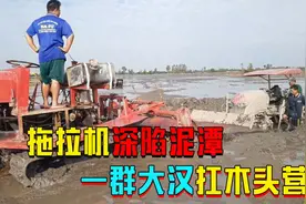 拖拉机陷入水田，越南老舅开农机营救，一群大汉扛木头加塞视频封面