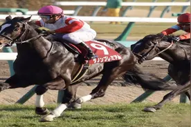 日本赛马|第47回 有馬記念 一级赛 20021222