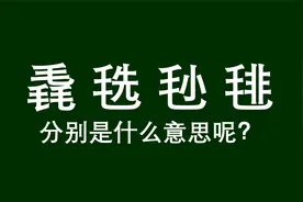 “毳”“掱”“毨”“毴”怎么读？什么意思？视频封面