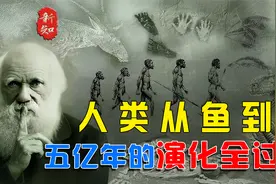 人类从鱼到人五亿年间的演化全过程。视频封面