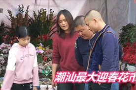 不吹牛！这是潮汕最大迎春花市，潮州高铁站附近，汕头揭阳都来买视频封面