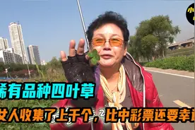 稀有品种四叶草，女人收集了上千个，比中彩票还要幸运视频封面
