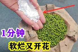 无论煮绿豆还是红豆，煮前多加一步，1分钟全煮烂，太省事了视频封面