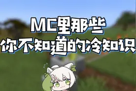 我的世界：怎么做到上下左右方向全部颠倒？MC你不知道的冷知识