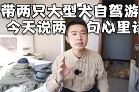 带两只大型犬自驾游，一路上颠沛流离太难了，今天说说我的心里话视频封面