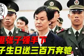 悍匪张子强手下，在老家建6栋别墅，儿子18岁生日送300万奔驰视频封面
