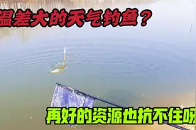 温差大的天气能不能垂钓？老钓位、老方法，答案一目了然视频封面