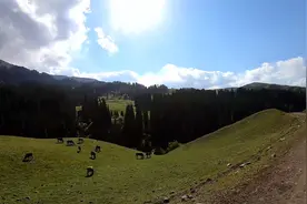 见好就收吧，草海的《country road》带我回家视频封面