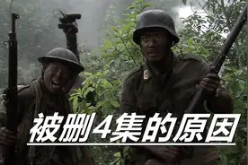 还记得《我的团长我的团》删掉4集吗？当初因为剧组赔了太多钱了视频封面