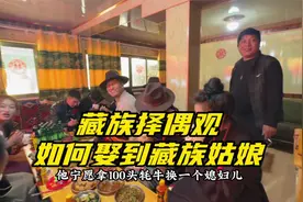 藏族择偶观，感情比牦牛重要视频封面