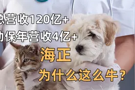 海正动保拟拆分上市的计划是否有望？视频封面