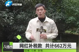 大数据平台立新功！网络主播欠税被发现，补税款662万元视频封面