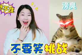 不要笑挑战，猫咪闻屁股太奇葩，奇奇笑到直喷口水视频封面