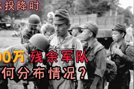 日本投降时仍留存了700万兵力，分别分布在何处？战斗力如何呢？
