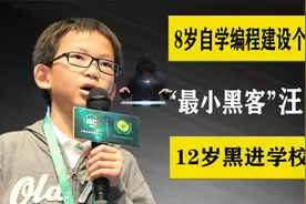 00后第一人汪正杨：中国“最小黑客”，13岁被360公司重金聘请！视频封面