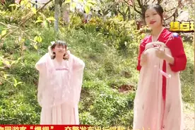 湖南植物园游客“爆棚”，被盛开樱花吸引，汉服美女和鲜花争艳视频封面