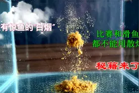 钓鱼比赛“作弊”揭秘，把搓饵当成散炮用！难怪鱼儿越钓越多视频封面