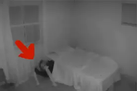 毛骨悚然的超自然事件：皮肤行者，神秘生物，胆大者开始你的挑战视频封面