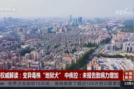 权威解读：变异毒株“地狱犬” 中疾控：未报告致病力增加视频封面
