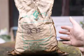养花的花盆不透气怎么办？园艺师教你，垫上陶粒，透气性更强