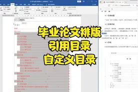 毕业论文排版-插入引用目录，自定义目录，更新目录时格式不变视频封面