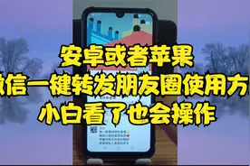 安卓或者苹果微信一键转发朋友圈使用方法，小白看了也会操作视频封面