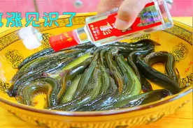 把高度白酒倒入泥鳅中，真厉害还喝醉了，不得不佩服高手在民间视频封面