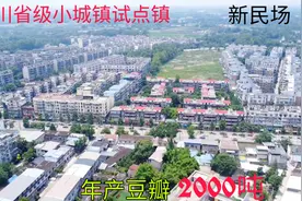 城镇建设试点镇，成都市最佳空气质量区域之一新民场#你好，夏至#视频封面