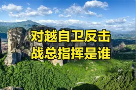 对越自卫反击战总指挥是谁视频封面