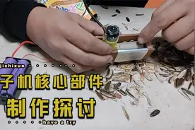 亲自试做全自动瓜子剥壳机，多次尝试失败告终，难点在哪里视频封面
