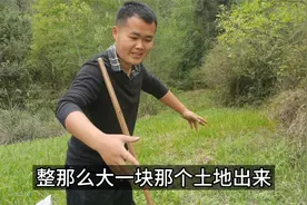 这辈子不会打工的！一个人山里开荒养鸡种菜，农村生活逍遥又自在视频封面