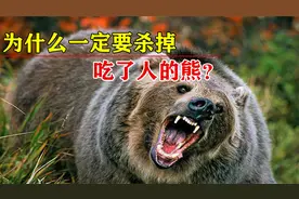 动物园里的熊吃了人，为什么一定要杀掉熊？不杀会有什么后果？视频封面