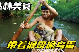 丛林美食：小伙带猴哥偷鸟蛋，被鸵鸟一路狂追，急中生智化险为夷视频封面