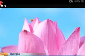 赣州瑞金：驻村工作队 让贡潭村里大变样视频封面